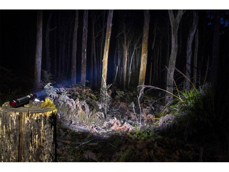 Lampe torche ARB 800 lumens — ARB