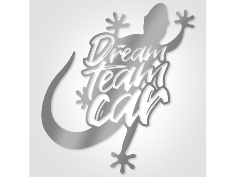 Grand autocollant gris métallisé capot DreamTeamCar — DTC Parts