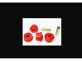 Paire silent blocs polyuréthane Nolathane tirant hinten inférieur Pajero 3 — Nolathane